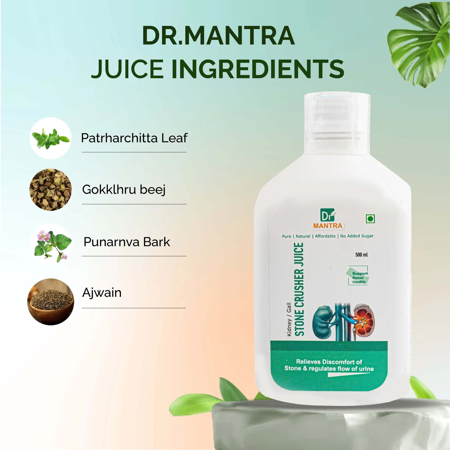 Kidney Stone Crusher Juice (Free Diet Chart & Ayurveda Expert Consultation ) - Dr Mantra
