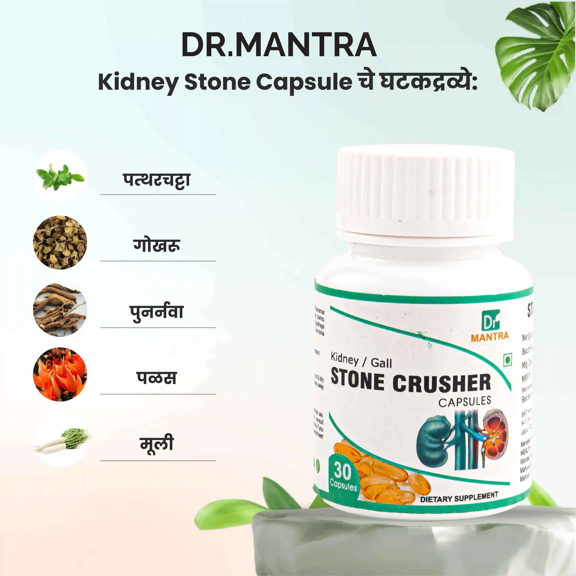 किडनी स्टोन क्रशर ज्यूस (फ्री डायट चार्ट व आयुर्वेदा एक्स्पर्ट कन्सल्टेशन) - Dr Mantra