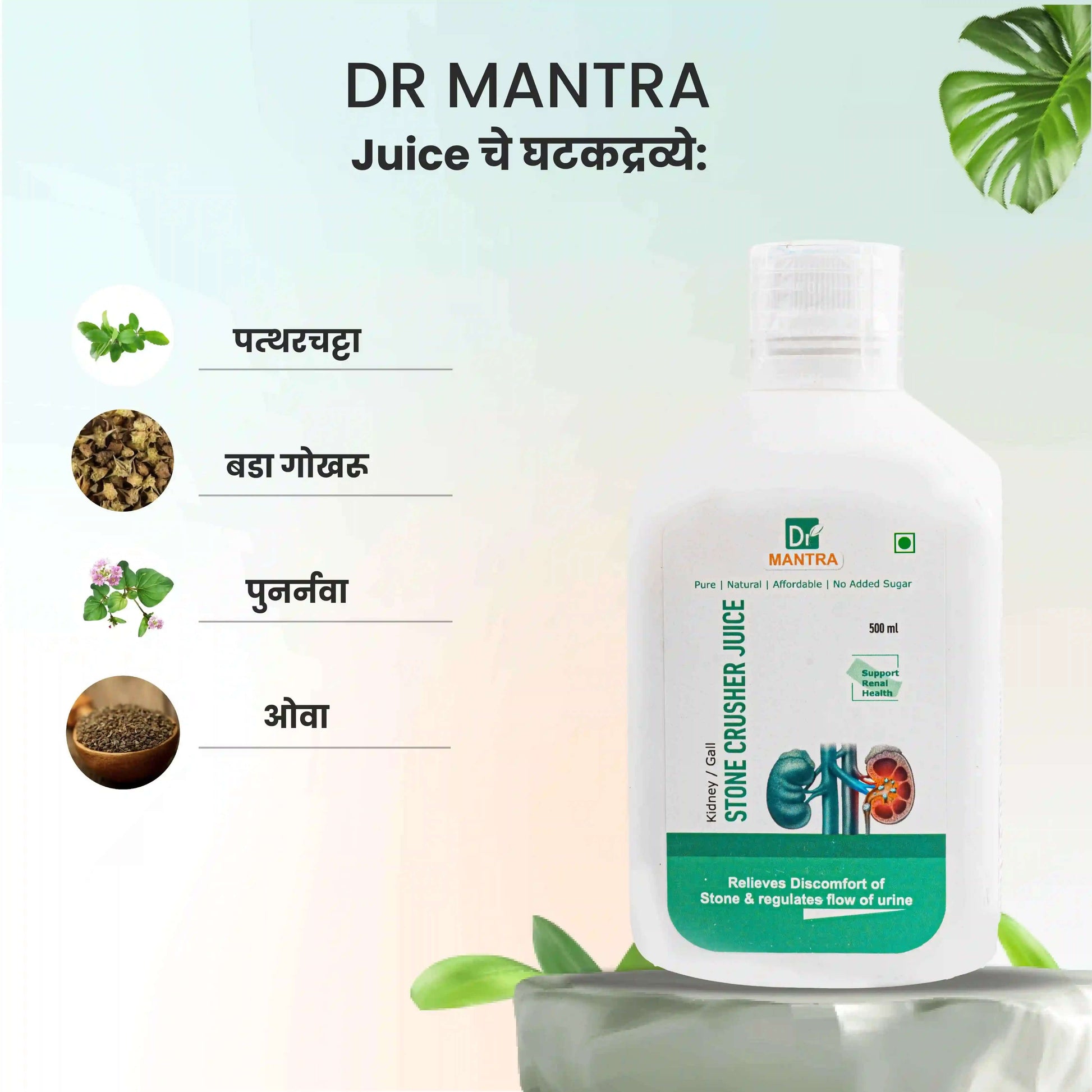 किडनी स्टोन क्रशर ज्यूस (फ्री डायट चार्ट व आयुर्वेदा एक्स्पर्ट कन्सल्टेशन) - Dr Mantra