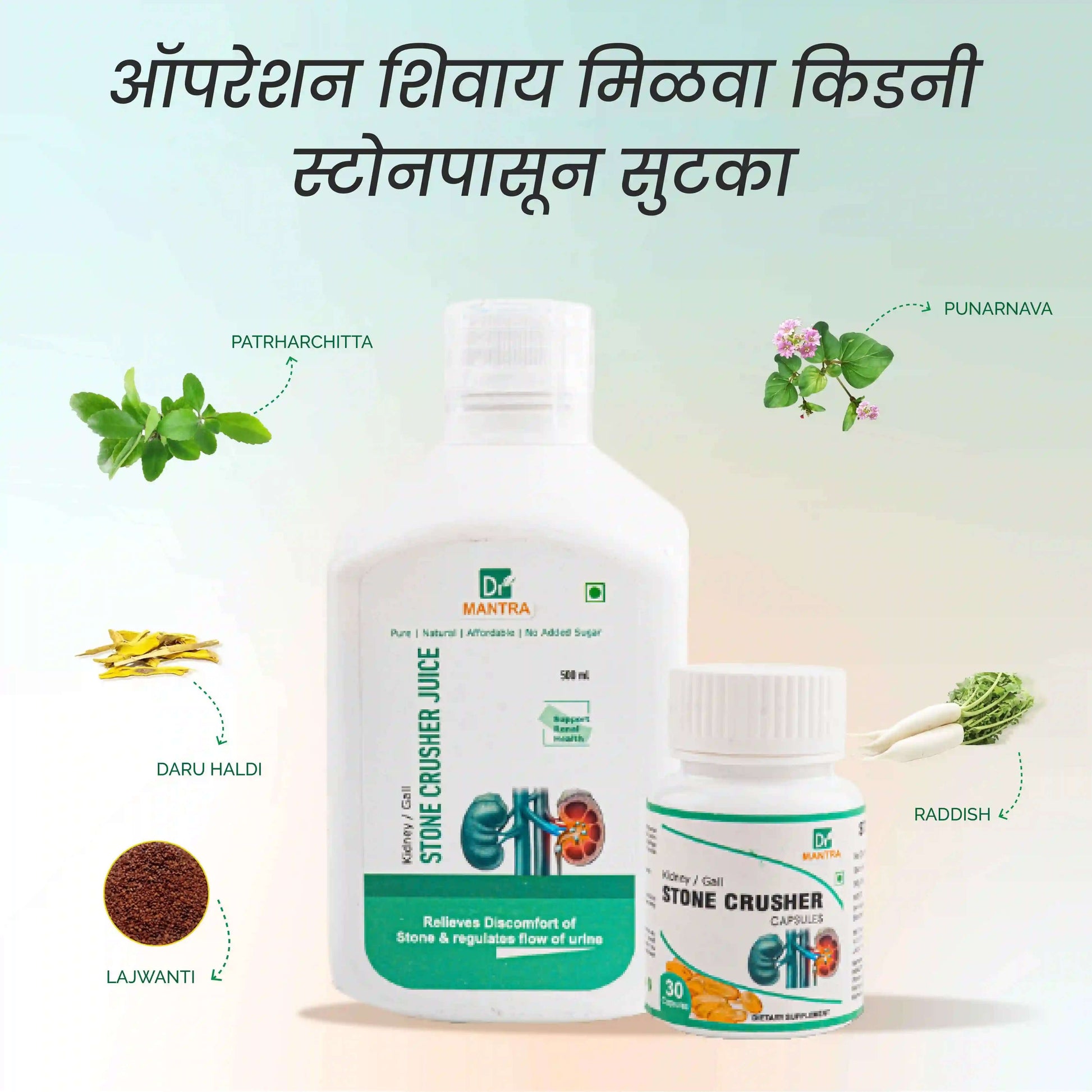 किडनी स्टोन क्रशर ज्यूस (फ्री डायट चार्ट व आयुर्वेदा एक्स्पर्ट कन्सल्टेशन) - Dr Mantra