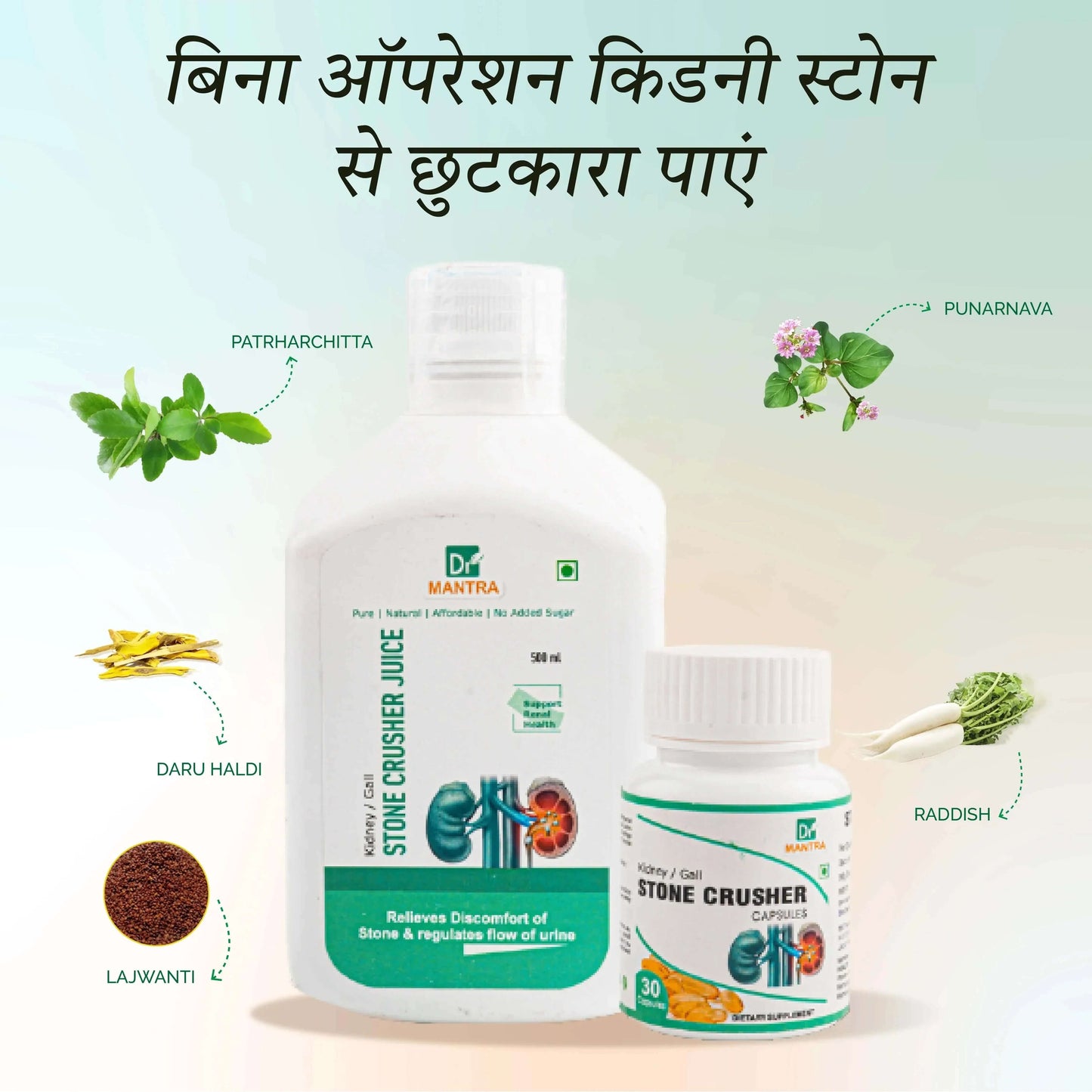 Kidney Stone Crusher Juice (Free Diet Chart & Ayurveda Expert Consultation ) - Dr Mantra