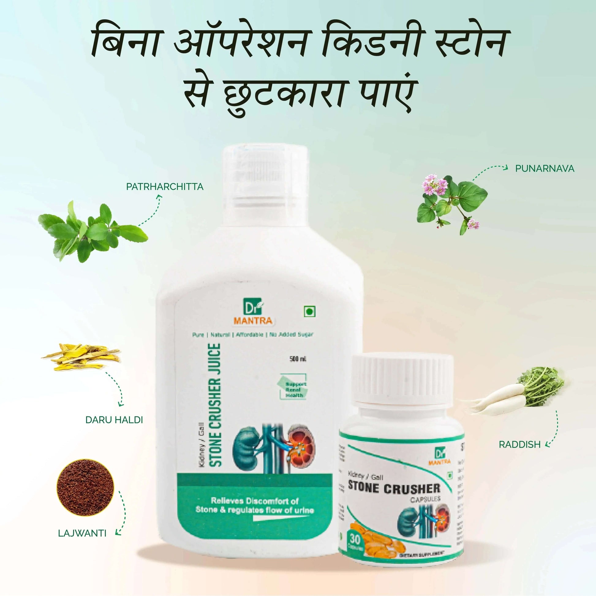 Kidney Stone Crusher Juice (Free Diet Chart & Ayurveda Expert Consultation ) - Dr Mantra