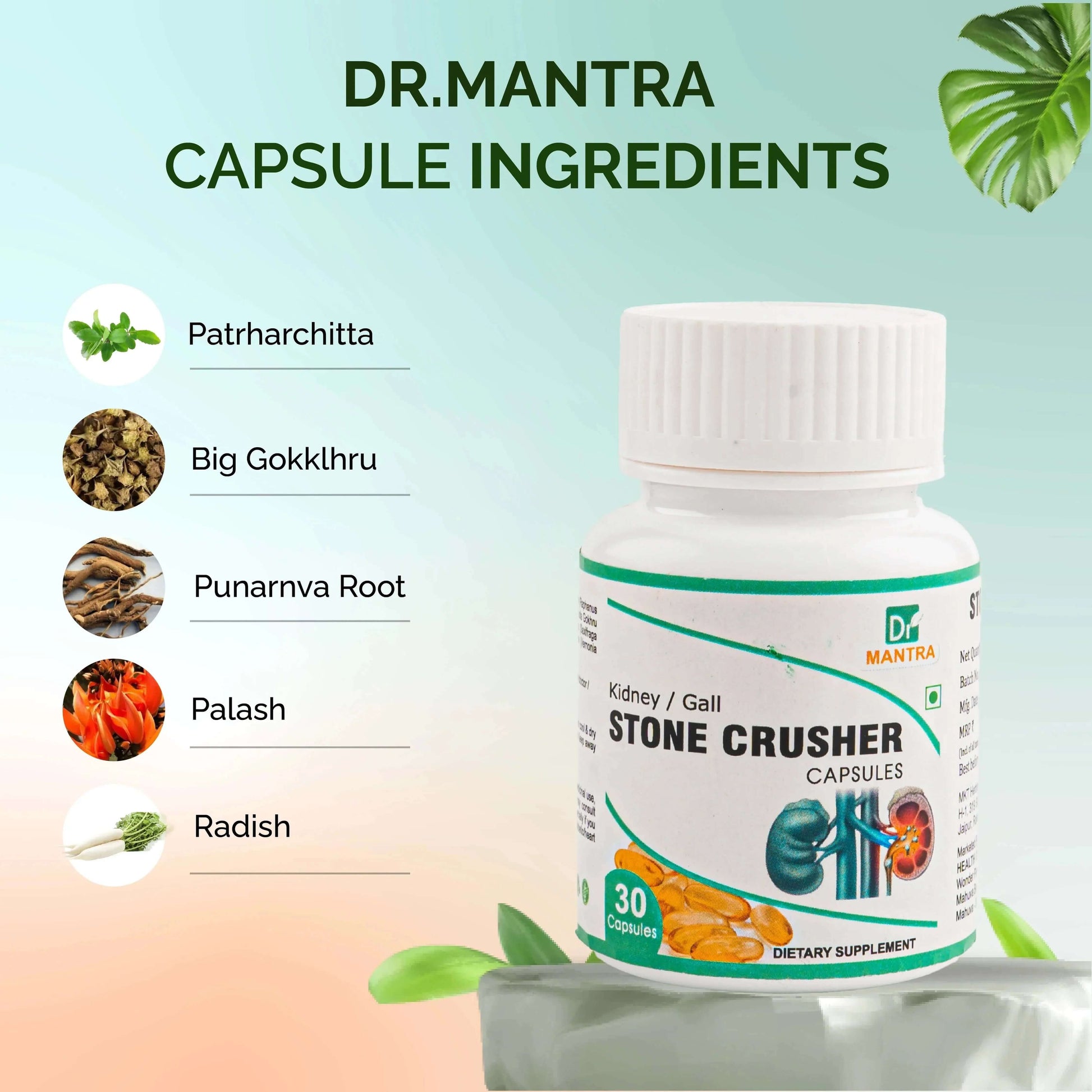Kidney Stone Crusher Juice (Free Diet Chart & Ayurveda Expert Consultation ) - Dr Mantra